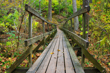 Rickety Wooden Foot Bridge