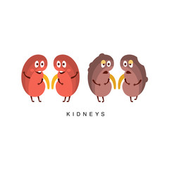 Healthy vs Unhealthy Kidneys Infographic Illustration