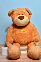Big teddy bear sitting on the potty training for pee and poo
