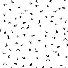 Doves and pigeons silhouette seamless pattern on white background for peace concept and wedding design. Vector