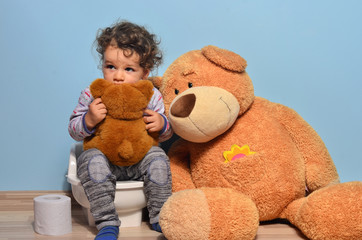 Baby toddler sitting on a potty surrounded by teddy bears. Cute kid potty training for pee and poo helped by teddy bear who gives him toilet paper - obrazy, fototapety, plakaty