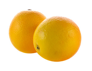 Sweet orange on white background