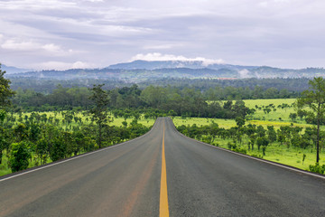 Lane blacktop in the forest with beautiful mountain background.