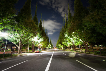 Tokyo Aoyama of the road late at night
Meiji Jingu Outer Gardens of the landscape