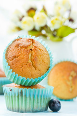 Festive muffins for dessert