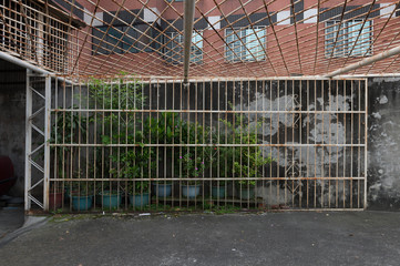 Large blank billboard on a street wall, banners with room to add your own text