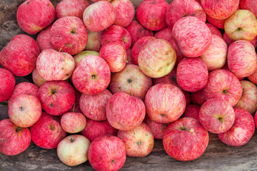 The red apple.