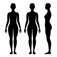 Female Body Silhouette