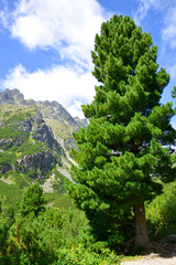 Obraz premium Summer mountain landscape. Mengusovska Valley, Vysoke Tatry (High Tatras), Slovakia