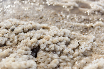 Cristals of salt in the dead sea.