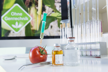 Genfood Tomate im Labor