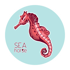 Hand drawn seahorse. Marine life vector illustration