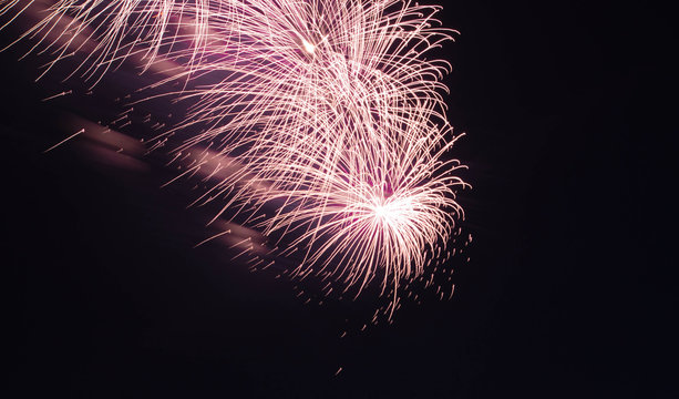 Beautiful Pink Firework In The Sky