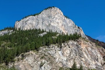 Fototapeta na wymiar The Altai Republic. The rock and the mountain slopes covered with pine forest. 