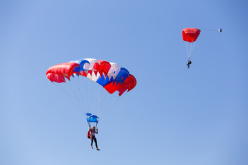 One skydiver on blue red white parachute, second skydiver on red parachute in clear blue sky