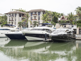 Fototapeta premium Speedy boat moored in the marina.