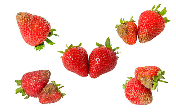 Rotten strawberries isolated on white background
