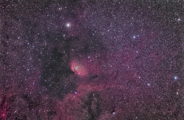 Tulip Nebula Widefield