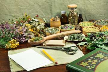 Set of healing herbs