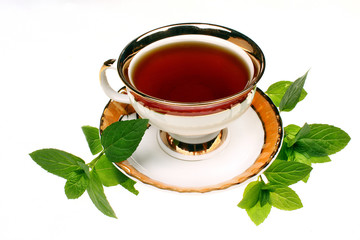 Mint mentha pulegium tea
