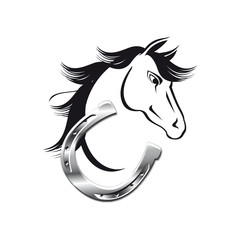 Cavallo e ferro di cavallo