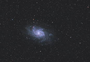 Dreiecksgalaxie / Triangulum Galaxy © mdmediendesign