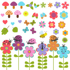 Big vector set to the theme of nature and insects.