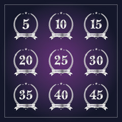 Anniversary celebration badge label in silver color
