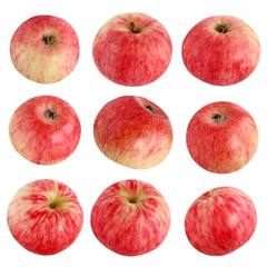 Red and yellow apples isolated on white background.