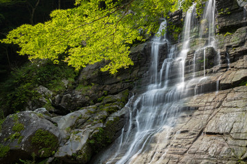 Obraz premium 程野の滝 東滝（高知県いの町）