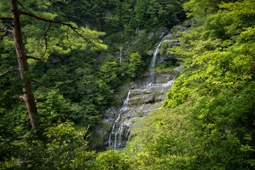 Foto op Canvas 程野の滝　東滝（高知県いの町） © Yoshinori Okada