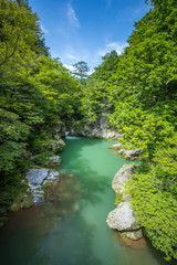 新緑の小田深山（愛媛県喜多郡内子町）