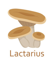 Edible mushrooms flat icon. Lactarius. Vector illustration.