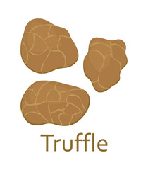 Edible mushrooms flat icon. Truffle. Vector illustration.