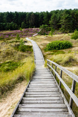 Holzweg auf Amrum