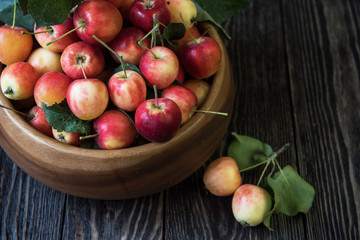 Naklejka na ściany i meble Fresh harvest of apples