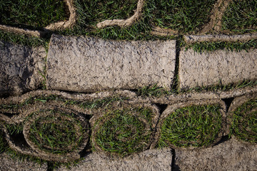 Lawn grass rolls