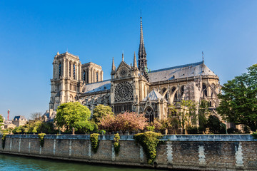 Fototapeta na wymiar Roman Catholic Cathedral Notre Dame de Paris at Sunset Paris.
