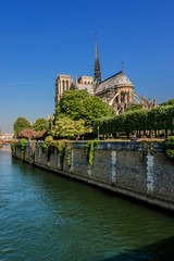 Naklejka premium Roman Catholic Cathedral Notre Dame de Paris at Sunset Paris.