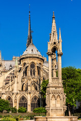 Fototapeta na wymiar Roman Catholic Cathedral Notre Dame de Paris at Sunset Paris.
