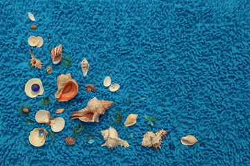 Obraz na płótnie Canvas Sea shell abstract design on a textured turquoise blue backgrou