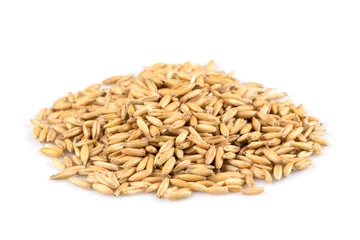 Foto op Canvas pile of organic oat grains © romantsubin