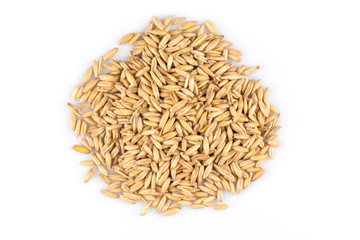 pile of organic oat grains