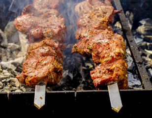 closeup of some meat skewers being grilled in a barbecue.