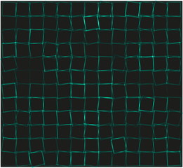 Abstract background with squares.vector