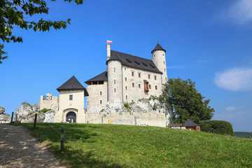 Fototapeta na wymiar Scenic view of the medieval castle in Bobolice village. Poland.