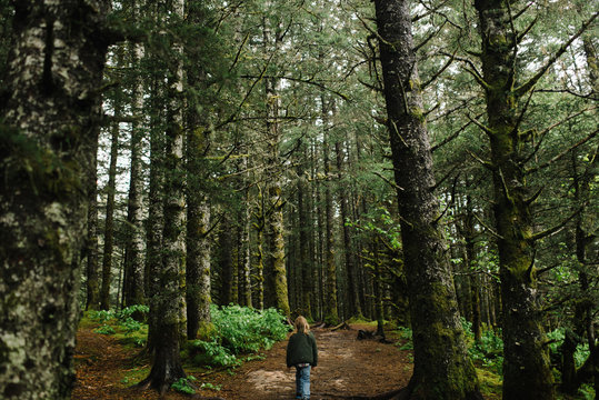 Child walking in woodland, back to camera 