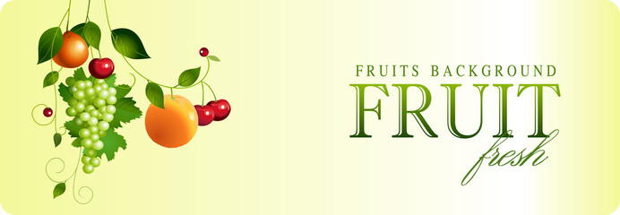 assorted fruit. illustration