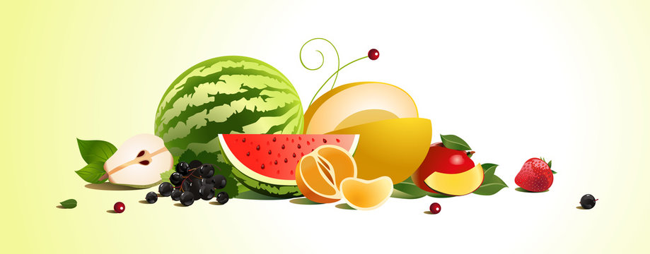 assorted fruit. illustration