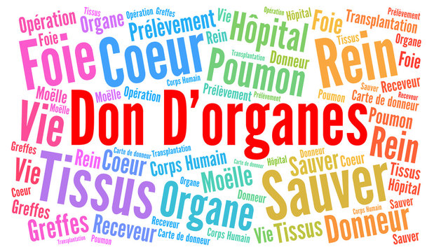 Organ donation word cloud concept with french text